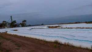 El Banco Central volvió a sumar reservas, pero no cumplió con la meta del segundo trimestre