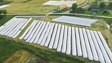 El Gobierno acordó con el complejo sojero liquidar 5.000 millones de dólares.