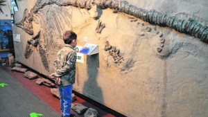 Después de 27 meses, el Museo Paleontológico de Bariloche reabrió sus puertas