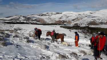 El poblador perdió su caballo mientras regresaba y en medio de un viento blanco. Foto: Gentileza  Facebook Junín de los Andes Gobierno Municipal.  
