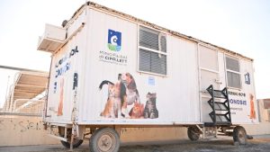 Cronograma de castraciones gratuitas para perros y gatos en Cipolletti