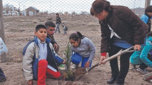 Plantarán 25 mil árboles para celebrar el Programa Forestal