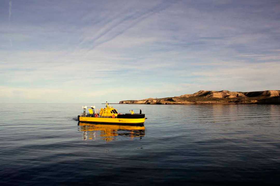 yellow submarine excursion puerto madryn