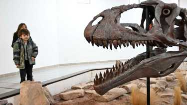 Vacaciones de invierno: ir a conocer al dinosaurio Meraxes, al museo de El Chocón