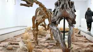 Una semana a puros fósiles: llega la quinta Jornada de Paleontología de la Cuenca Neuquina