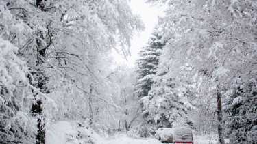 nevadas, bosque, invierno,san martin de los andes, 2022, julio, patricio rodriguez