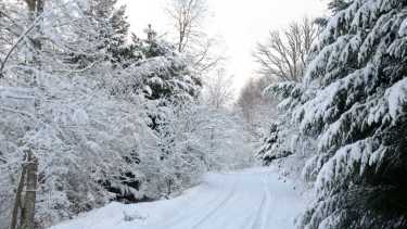 Nevadas urbanas, San Martín de los Andes, 2022, julio. Patricio Rodriguez.