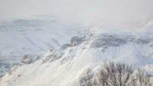 Mirá las fotos de la nevada en San Martín de los Andes