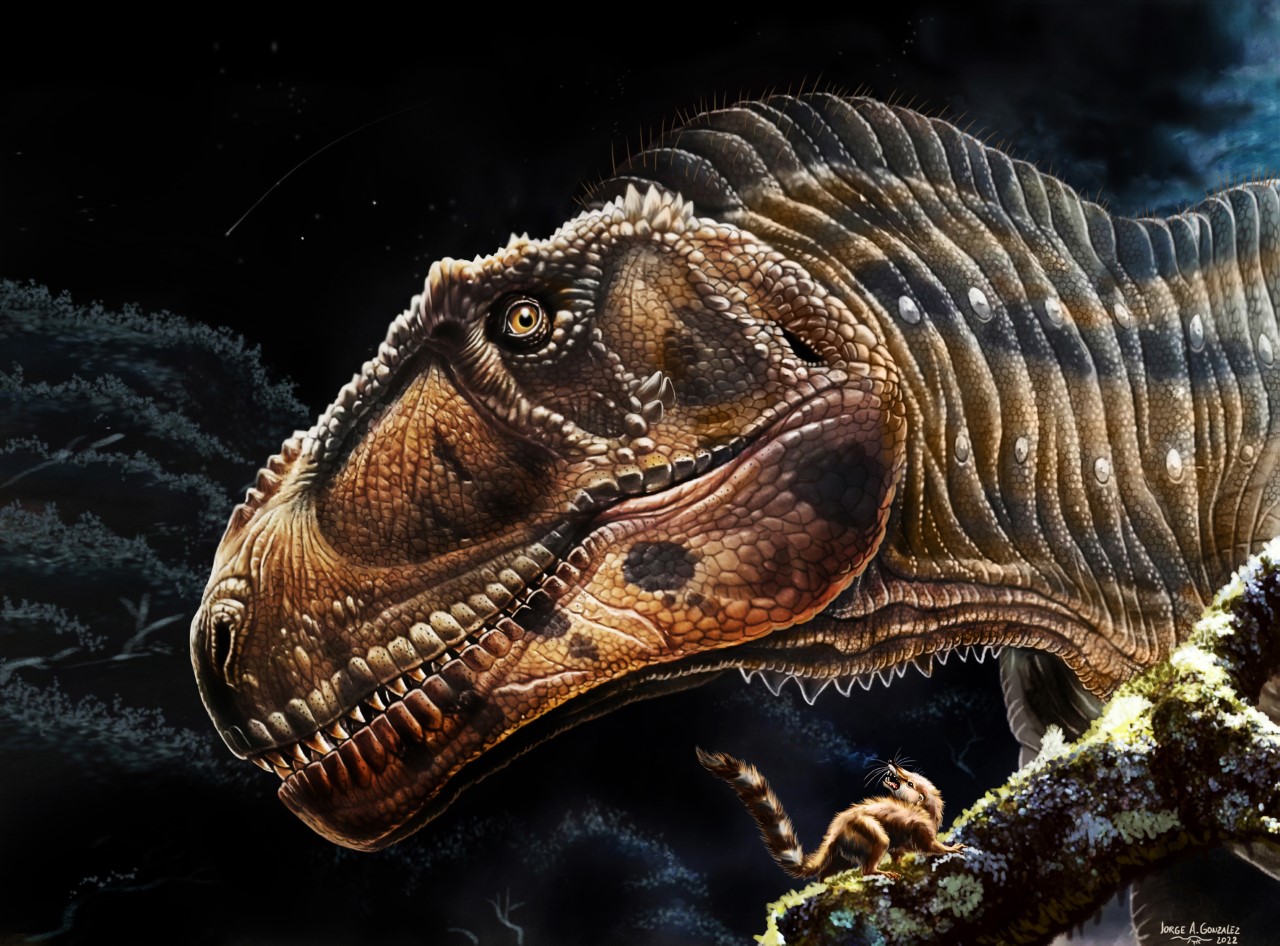 Por qué el nuevo dinosaurio hallado en Neuquén llamó la atención a nivel  mundial