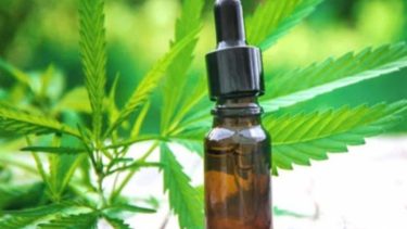 Aceite de cannabis. Foto: Archivo. 