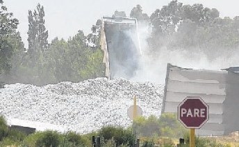 Daños e indiferencia