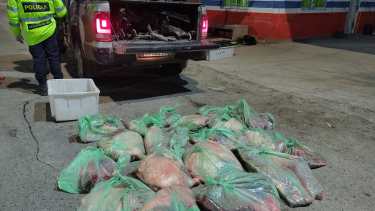 Unos 12o kilos de carne fueron decomisadas en un operativo de control en Chichinales. (Foto gentileza)