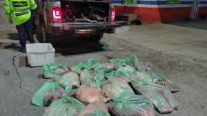 Decomisaron 120 kilos de carne en Ruta 22 que era transportada hacia Viedma