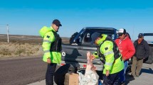 Imagen de Decomisaron 100 kilos de carne en un control vehicular en Roca