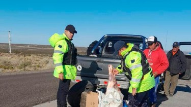 Policía de Río Negro decomisó más de 19.000 kilos de carne en 2022