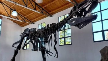 Propuestas para que los más chicos disfruten en estas vacaciones en Regina