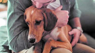 Emociones: ¿por qué nos negamos a sentir y expresar?