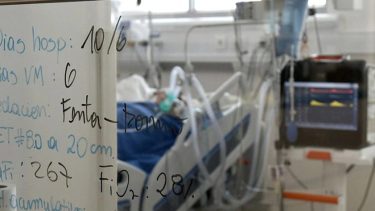 El cerebro es lo último que se "apaga" cuando morimos, según la investigación.-