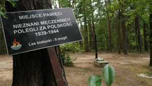 Encontraron las cenizas de 8.000 víctimas del terror nazi en Polonia