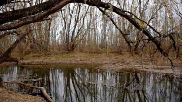 Reclaman a Gaido la pronta puesta en marcha de las guardias ambientales en Neuquén. Foto: Matías Subat