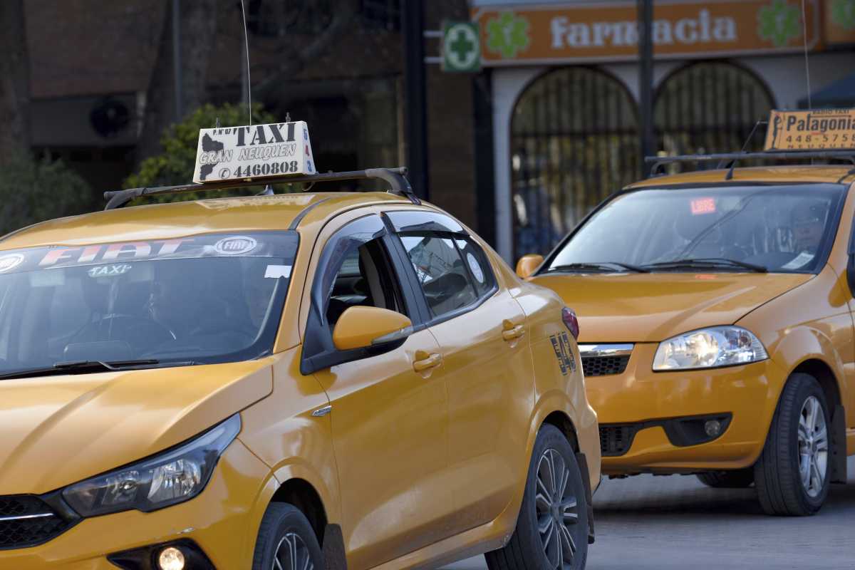Taxistas de Neuquén en contra del servicio de Uber. Foto: Matias Subat