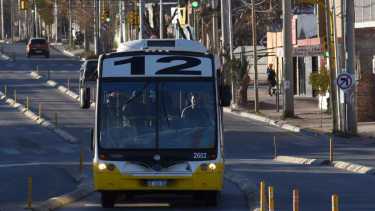 Las condiciones de la licitación del nuevo transporte urbano en Neuquén