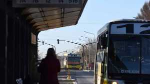 Hay muchas consultas pero no interesados en los pliegos de licitación para los colectivos de Neuquén