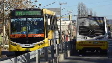 El viernes comenzó con un paro de colectivos en Neuquén. (foto archivo  Matías Subat)