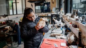 Una niña de 12 años encontró un resto fósil de lo que fue un perezoso gigante en Mar del Plata