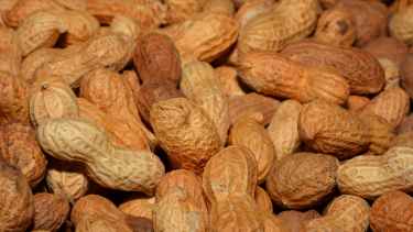 La compañía recibió un crédito para el desarrollo de energías limpias a partir del maní.