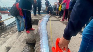 Tras la captura del pez remo, aseguran que se registraron sismos en Chile