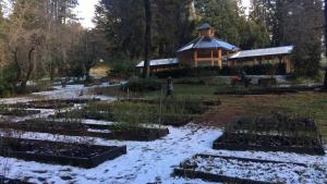 Parques Nacionales aportó 1.500 plantas autóctonas para forestar zonas de Bariloche