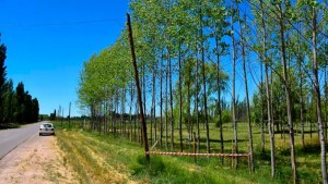Imputan a dos operarios de Edersa por la muerte de una nena con una descarga eléctrica en Guerrico