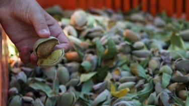 La dirección de turismo asesora a quienes deseen obtener información. Foto: gentileza