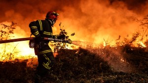 La ola de calor de Europa muestra lo que nos puede pasar, advierten desde Neuquén: incendios y sequía