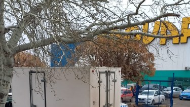 Le robaron en la entrada de Yaguar. Gentileza