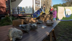 A fines de julio, Bariloche recibirá los fósiles incautados en España
