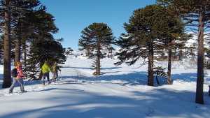 Fin de largo en Caviahue: las excursiones que no te podés perder en el pueblo de nieve más lindo