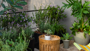 Cómo preparar tu jardín para la llegada de la primavera