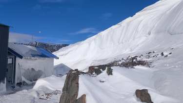 Preparan operativo especial, para que crucen por Pino Hachado los camiones varados en Las Lajas