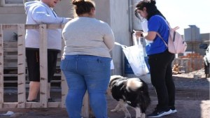 Censo animal en Añelo: hay dos perros por casa en el pueblo de Vaca Muerta