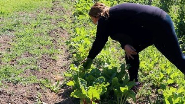20 familias se podrán incorporar al programa. Foto: Gentileza. 