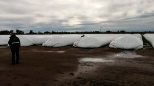 AFIP incautó casi 7000 toneladas de granos en silobolsas sin declarar