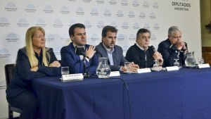 Cuántos votos necesita Juntos por el Cambio para avanzar en el juicio político a Alberto Fernández