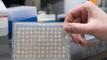 La biotecnología es la aplicación tecnológica de herramientas de ingeniería genética