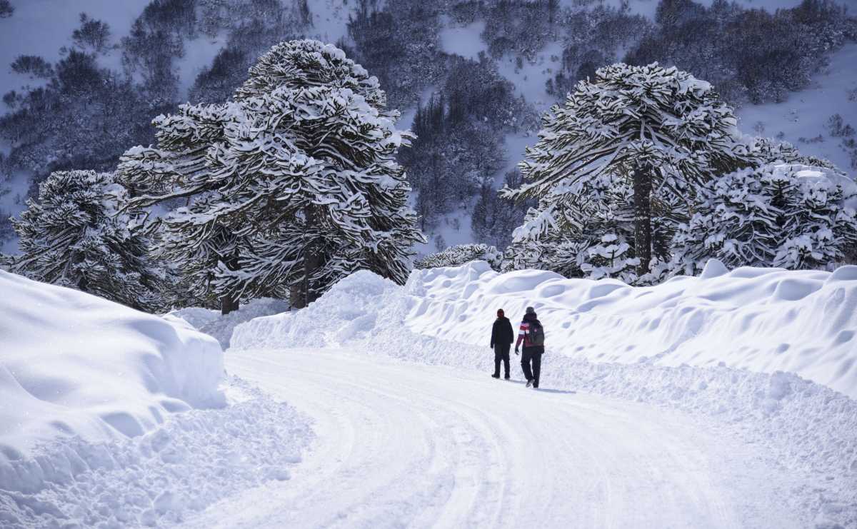 En un paisaje de cuento, dos turistas caminan hacia el centro de esquí Caviahue, a 360 km de Neuquén capital en la Patagonia mágica. Foto: Florencia Salto 