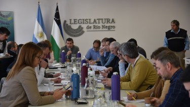 Reunión de la comisión de Cultura, Educación y Comunicación Social. Foto: gentileza.