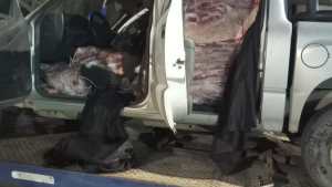 Decomisaron dos mil kilos de carne que transportaban en una camioneta en Chichinales