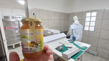 Estepas Andinas es un emprendimiento apícola de la zona de Pilcaniyeu.  Foto: gentileza. 