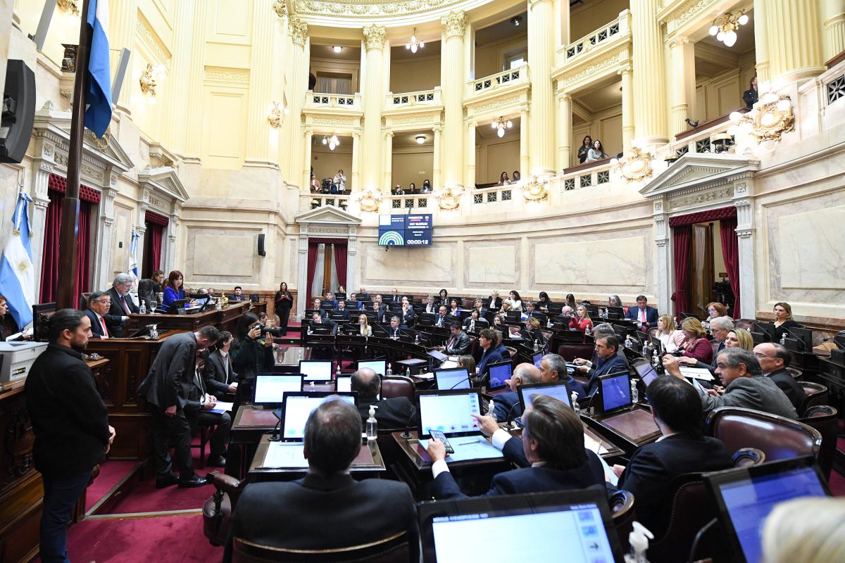 El Senado aprobó el incentivo con votación dividida. (Foto: @SenadoArgentina)